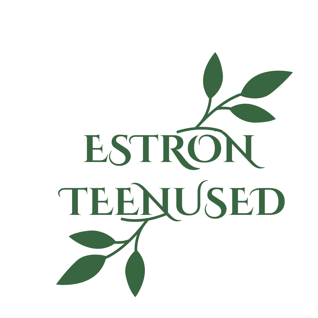 ESTRON TEENUSED OÜ logo