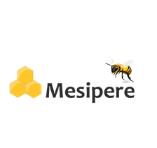 MESIPERE OÜ - Balancing Books and Bees with Excellence