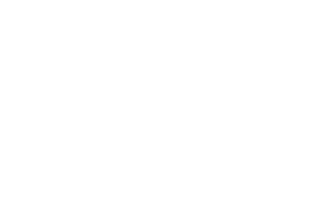 DIGIMERX OÜ логотип