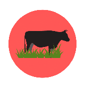 LUIGEVESKI AGRO OÜ - Raising of other cattle and buffaloes in Pärnu county