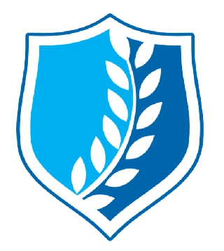 DIRECT KINDLUSTUSMAAKLER OÜ logo