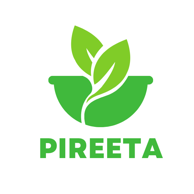 PIREETA OÜ logo