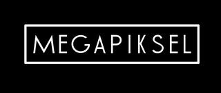 MEGAPIKSEL STUUDIO OÜ logo
