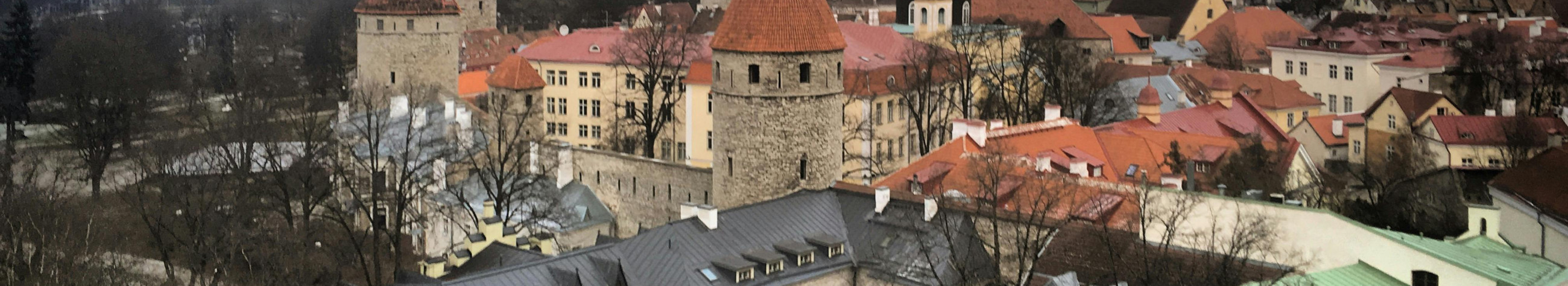 Privaatsete ja teematuuridega aitame avastada Tallinna ja Eestit koos ajaloo, kultuuri ja kohaliku taustaga. Sobib nii külalistele, väiksematele rühmadele kui ka kohalikele.