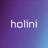 HOLINI OÜ - Other information technology and computer service activities in Tallinn