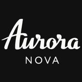 ENDOVER AURORA OÜ - Buying and selling of own real estate in Estonia