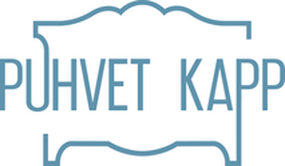 VIIS VIIMAST OÜ логотип