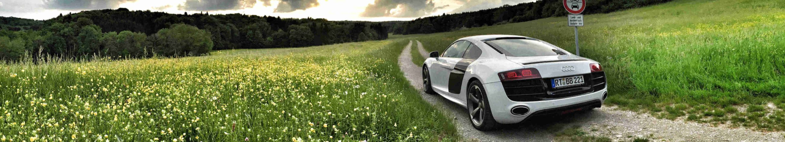 car rental, ordering vehicles from europe, purchasing vehicles, car background check, finding a car by customer\'s wishes, commission sale of cars, transport of vehicle from europe, commission car sales, European car rental, vehicle ordering service