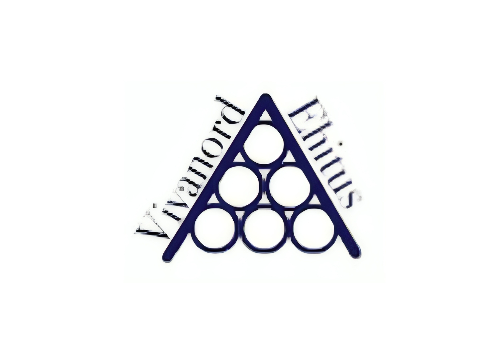VIVANORD EHITUS OÜ logo