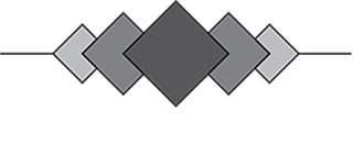 VIIS PLUSS VIIMISTLUS OÜ logo