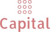 DOT CAPITAL OÜ - Business and other management consultancy activities in Tallinn