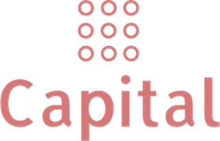 DOT CAPITAL OÜ logo