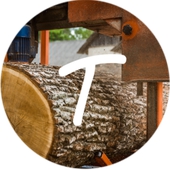 TIMBER EXPERT OÜ - Manufacture of sawn timber in Lääne-Nigula vald