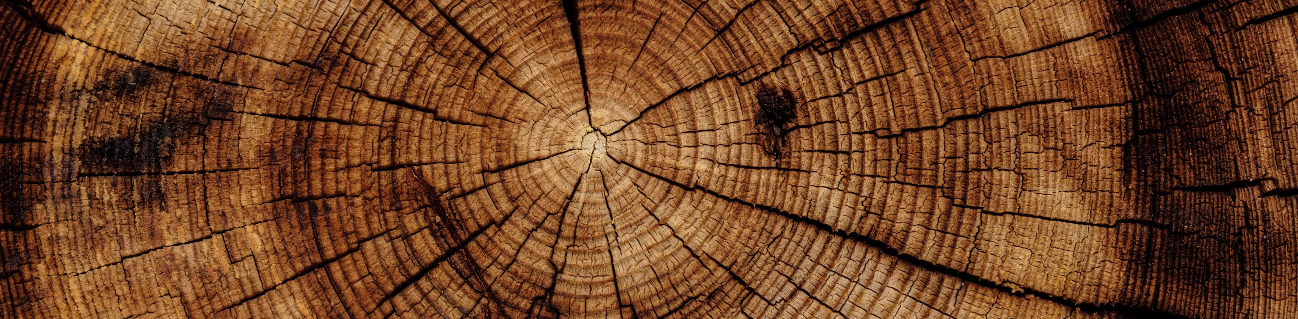 Ehitus, paigaldus, puithoonete ehitus, terrass, soojustamine, tallinn, terrassid, saunamaja, tuulekastide ehitus, vundamendi isolatsioon