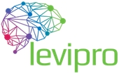 LEVIPRO INSPIRED OÜ - Computer programming activities in Saue vald