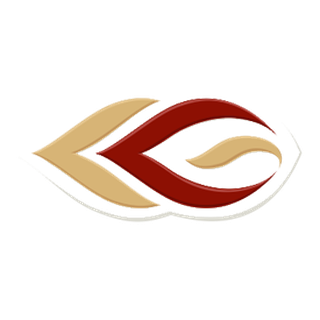 KG EESTI OÜ logo