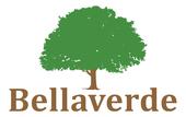 BELLAVERDE INVESTEERINGUD OÜ - Rental and leasing of other machinery, equipment and tangible goods n.e.c. in Estonia