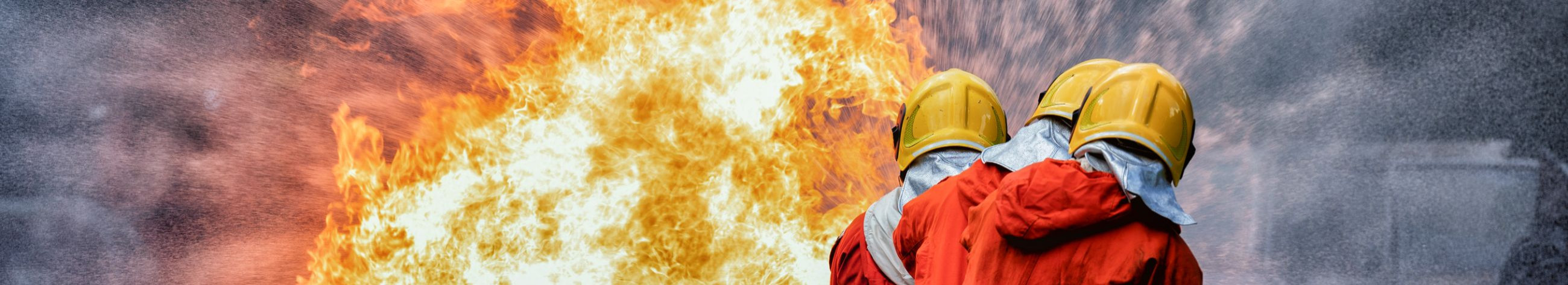 Teeme tuleohutusülevaatusi, pakume tuleohutushalduse teenust ja korraldame tuleohutuskoolitusi.