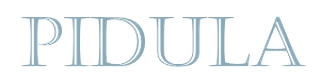 PIDULA MANOR OÜ logo