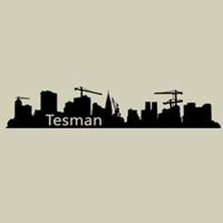 TESMAN EHITUS OÜ logo