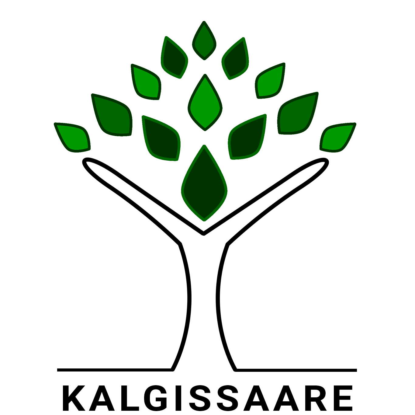 KALGISSAARE OÜ logo