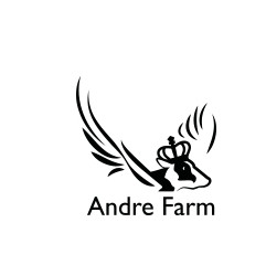 ANDRE GURMEE OÜ logo