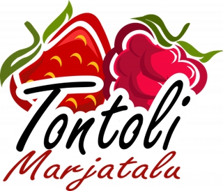 HANSU TONTOLI OÜ logo