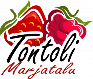 HANSU TONTOLI OÜ logo