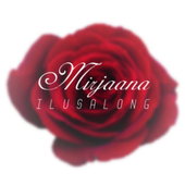 MIRJAANA OÜ - Hairdressing and other beauty treatment in Harju county