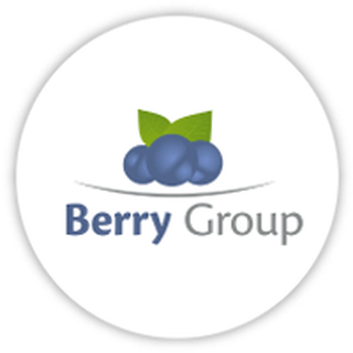 BERRY GROUP PRODUCTION OÜ logo