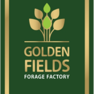 GOLDEN FIELDS OÜ logo