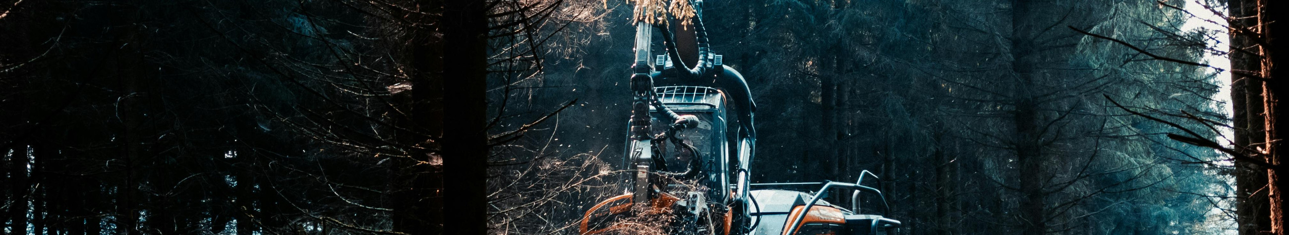 Pakume metsade hooldust, raietuge ja teede korrashoidu, et tööprotsessid oleksid sujuvad ja tulemus kestlik. Aitame hoida metsamaa korras ning tööalad turvalised.