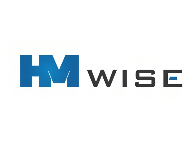 HM WISE OÜ logo