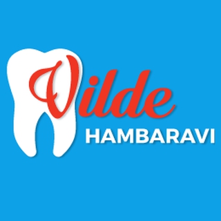 VILDE HAMBARAVI OÜ logo