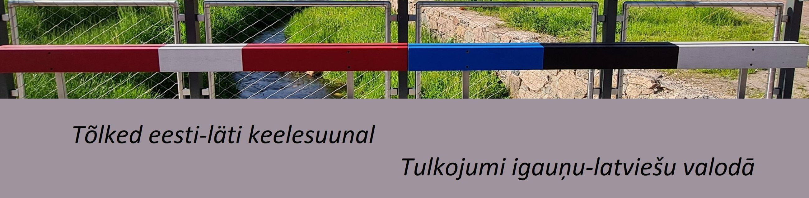 translations in estonian-latvian language, translation, localization of translation, translation of films, edit source text, Estonian language expertise, subtitling, translation services in other language combinations, multilingual translation services, Estonian-Latvian translation services