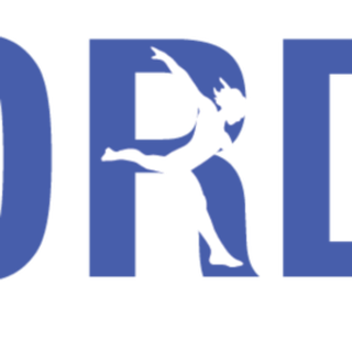 SPORDIRAVI OÜ logo ja bränd