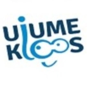 UJUME KOOS OÜ - Business and other management consultancy activities in Tallinn