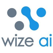 WIZE AI OÜ - Computer consultancy activities in Tallinn