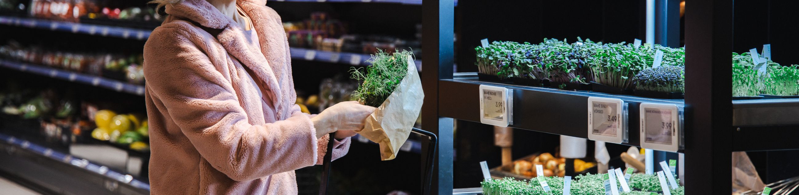 hyperlocal gardening, growing shoots and herbs all year round, herbs, over 30 different vegetables, micro-herb, live plants, smart greenhouses, growing kits for shoots, sustainable farming, year-round herb cultivation