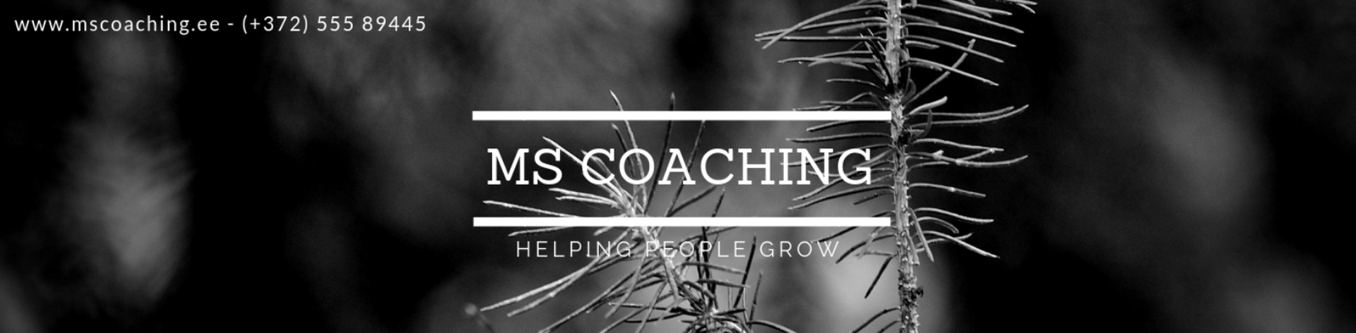 Executive coaching, Performance coaching, Career coaching, Trainings and Seminars