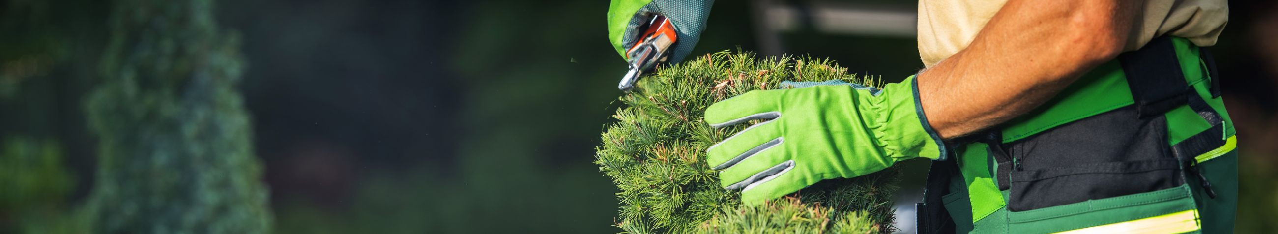 We offer comprehensive arboricultural services including the cutting of dangerous trees, milling, harvesting, cutting hedges, trees care cuts, cutting fruit trees, and cleaning of grunts, ensuring the health and safety of both the greenery and the community.