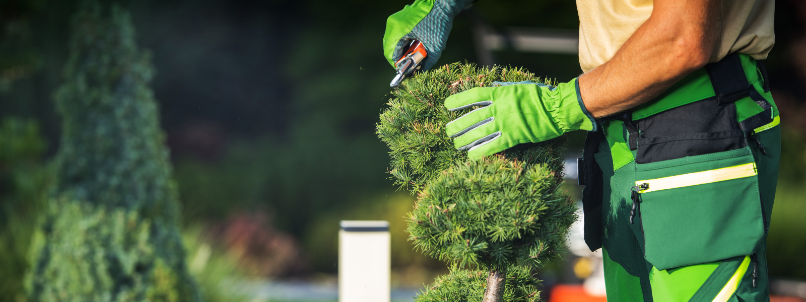 ARBORGREEN OÜ - We offer comprehensive arboricultural services including the cutting of dangerous trees, milling, harvest...