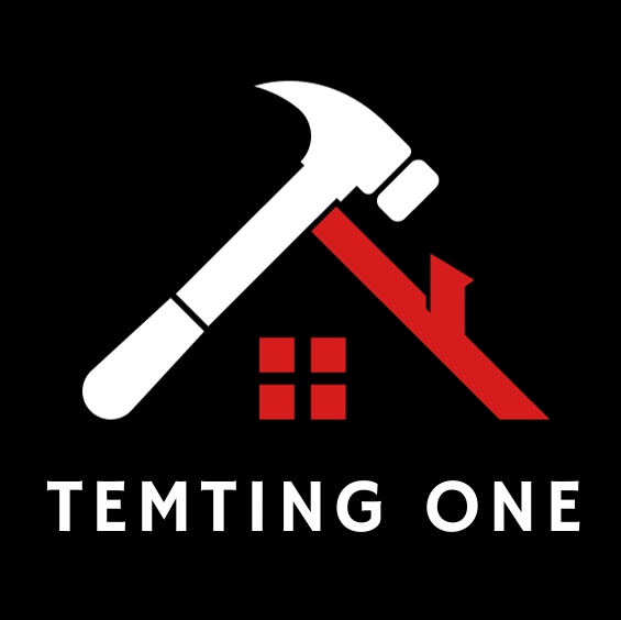 TEMTING ONE OÜ logo