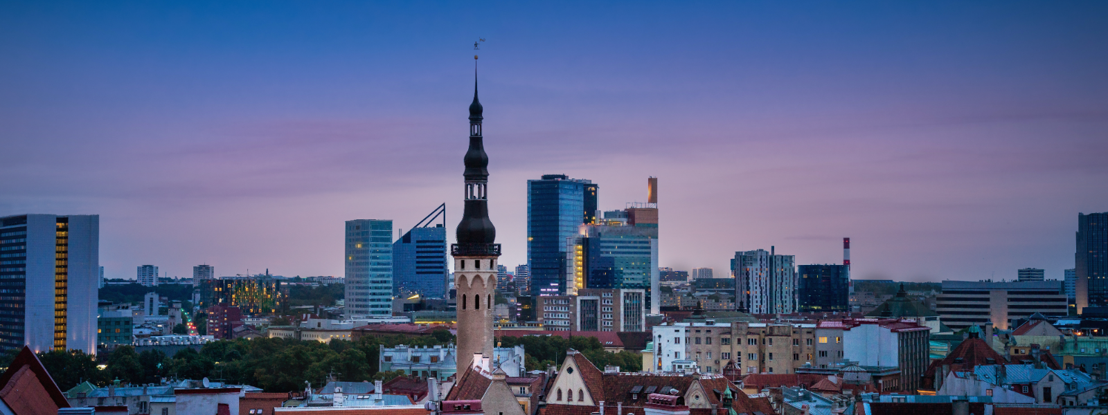 Business and other management consultancy activities in Tallinn