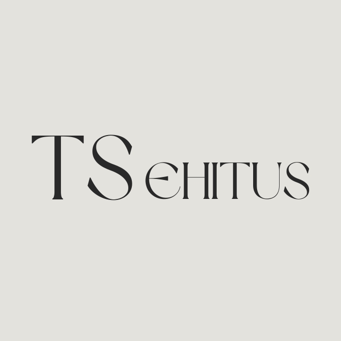 TS EHITUS OÜ logo