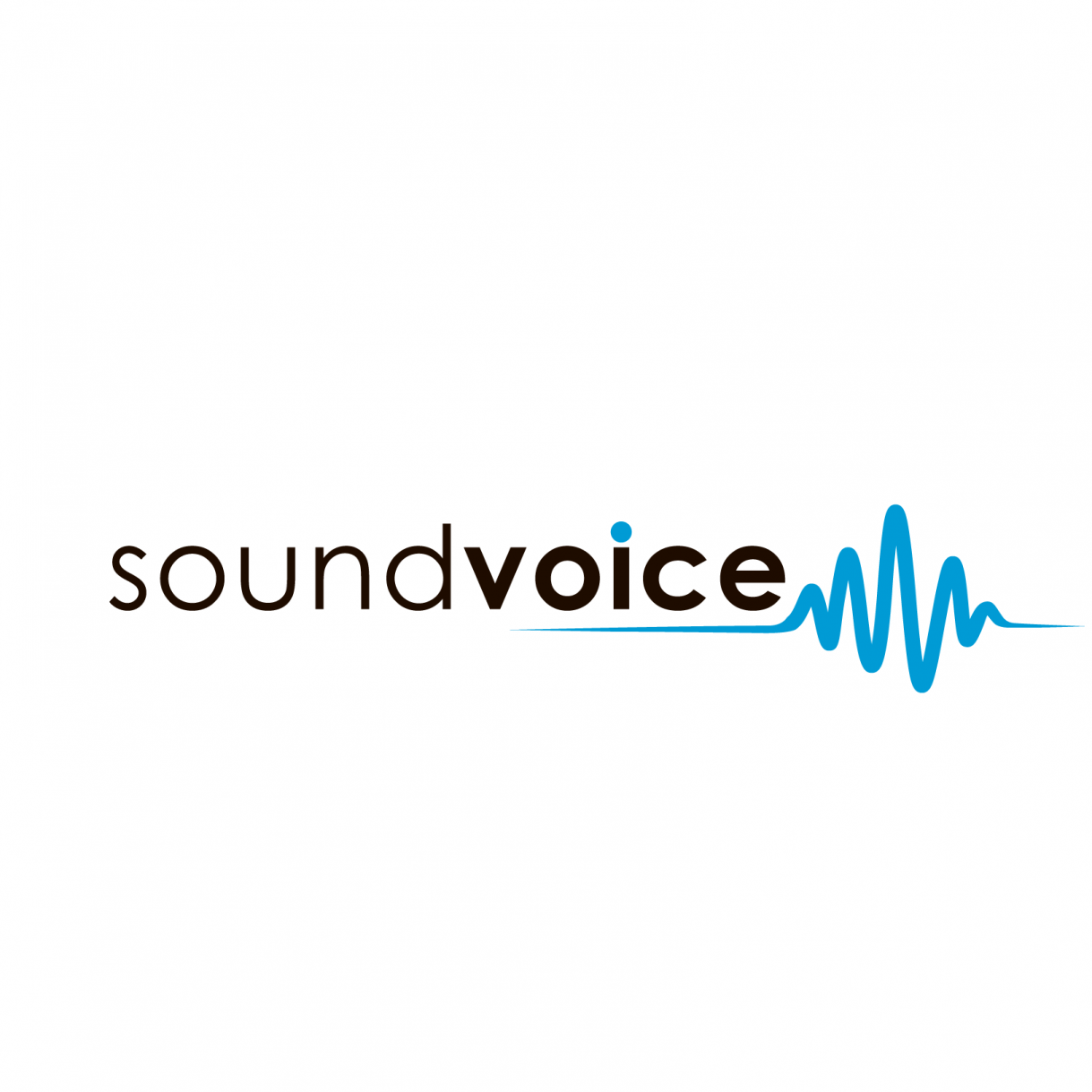 SOUNDVOICE OÜ - Other amusement and recreation activities not classified elsewhere in Pärnu