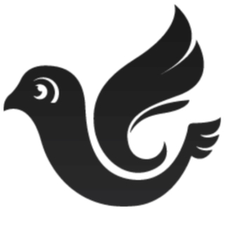 KIIGESELLID OÜ logo