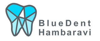 BLUEDENT HAMBARAVI OÜ logo