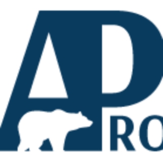 AP ROOFS OÜ logo
