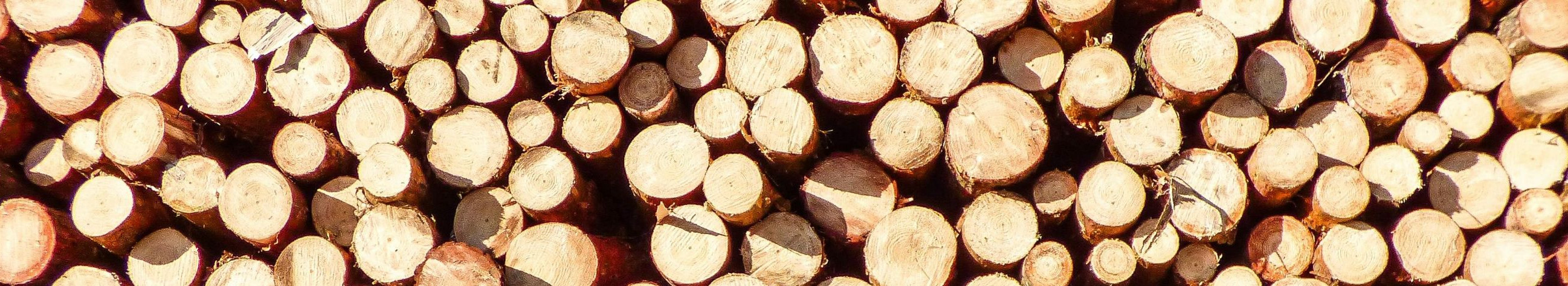 wood industry, processing of wood, Sawdust, Wood in the rough, Drying of wood, Wood of sawdust, sawing of logs, cutting wood, freight transport, Cargo transport by truck